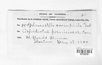 Image Associated With the Occurence